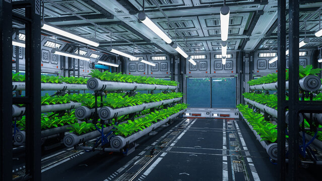 Green plants growing in a futuristic space station or ship. Science fiction interior 3D rendering.