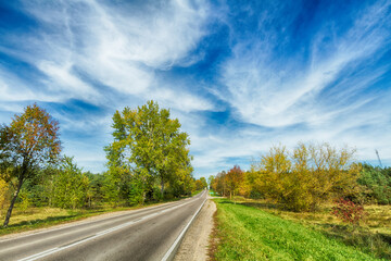 Landscape autumn with colourful trees, autumn Poland, Europe and amazing blue sky with clouds, sunny day