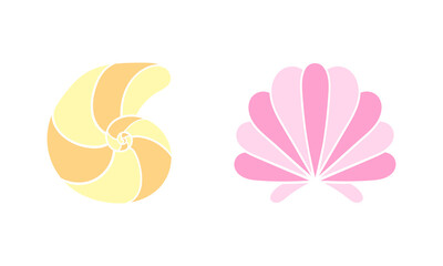 illustration of shells in bright colors on a white background