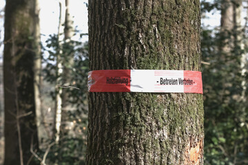 Holzstamm und rotes Flatterband mit Aufschrift "Lebensgefahr"