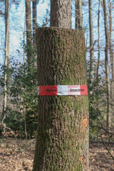 Holzstamm und rotes Flatterband mit Aufschrift "Lebensgefahr"