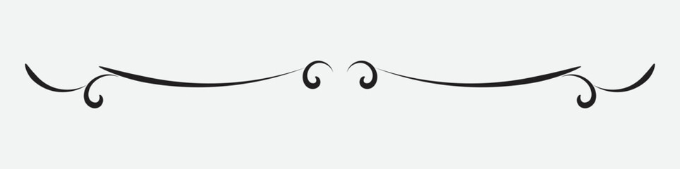 ornamental filigree flourish and thin divider. Classical vintage element, vector illustration