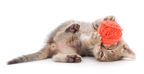 Little kitten playing with a ball of yarn.