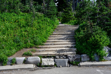 Wood steps at beginning of Skyline Trail in Paradise area of Mt. Rainier National Park, WA
