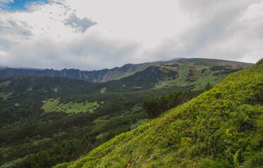 Fototapeta na wymiar Beautifull view of Chornohora highest mountain range in Western Ukraine
