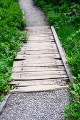 Weathered wooden footbridge over lush marsh area of Paradise area of Mt. Rainier National Park, WA
