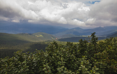 Beautifull over clouds view of Chornohora highest mountain range in Western Ukraine after the storm.