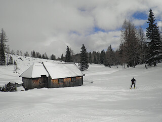 winter landscape