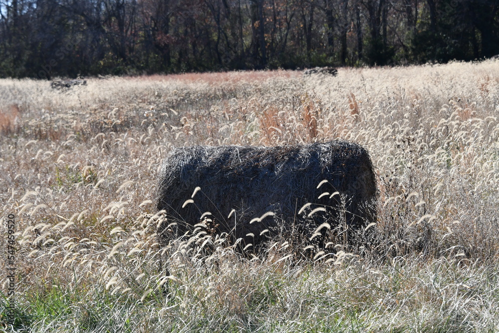 Sticker Hay Bale in a Farm Field