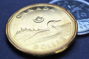 1 Canadian dollar. Fragment of textured coin. Illustration about economy or finance. Coins and money change of Canada. News about banks and currency. Macro