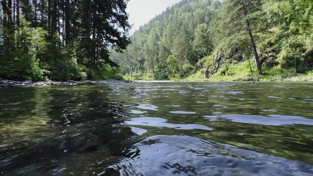 Mountain clear river close-up on the background of a green forest. Slow motion video. High quality 4k footage