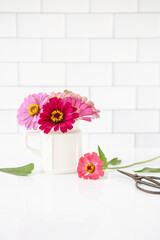 Colorful Little Bouquet of Zinnias in a White Vase on a White Countertop