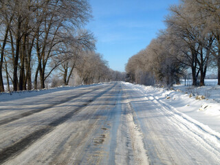 Fototapeta premium Winter and snowy road outside the city. Icing of the road. Landscape of a road with poplar trees covered with hoarfrost and snow. Trip out of town on New Year's Eve