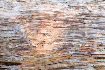 old wood texture, damaged wood