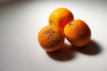 Imperfect sustainable oranges. Organic fruit on the kitchen table. Orange season in Spain. Three ripe oranges in the sunlight. misshapen, scarred or slightly bruised fruits.are thrown away by farmers 