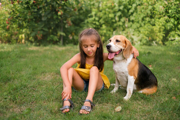 A beautiful girl is sitting in the yard on the lawn in an embrace with a beagle dog. Man's best friend