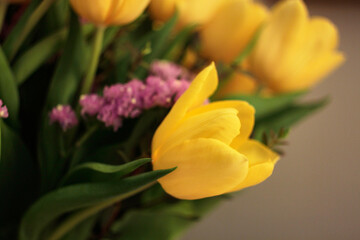Bouquet of yellow tulips, spring mood. Selective focus