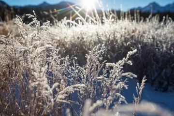 Deurstickers Frozen meadow © Galyna Andrushko