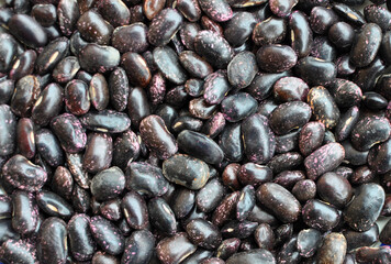 Harvest from dry beans