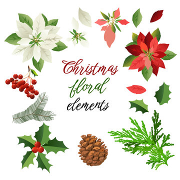 Poinsettia Flowers and Christmas floral elements. Beautiful set of Christmas decor. For greeting cards, wreath, invitation, New Year 2023 design. For wallpaper, textile, fabric, banner.
