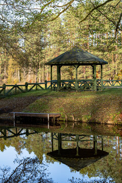Wooden gazebo over the water against the background of the forest. Autumn season.