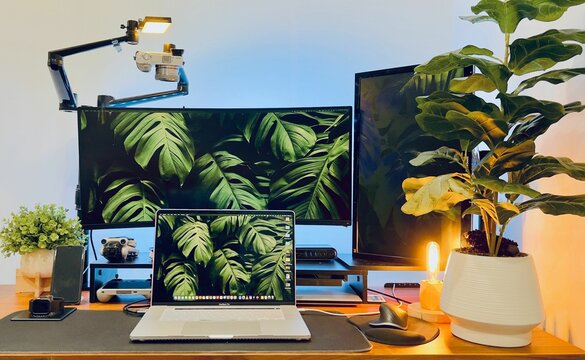 Desk Setup With MacBook, Curved Monitor And A Plant.