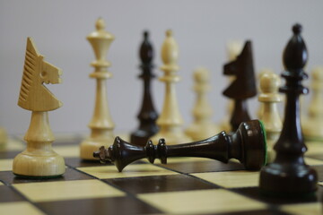 chess pieces on a chessboard