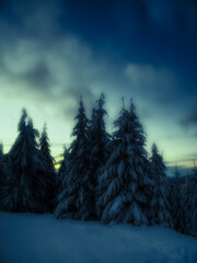 Winter snowy landscape with fresh snow covered trees,sky,rime and mountain forest at winter sunny day. Czech republic.  .