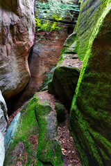Fototapeta premium Beautiful sandstone Rocks in Czech Paradise, clear green Nature, Mala Skala, Little Rock, Czech Republic