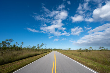 Main Park Road receding into distance in Everglades National Park, Florida on sunny autumn morning.