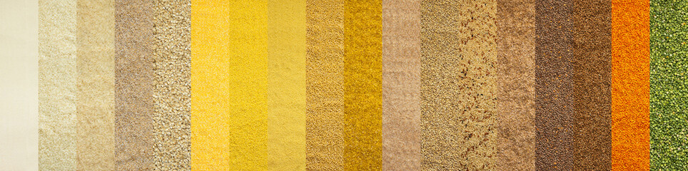 Fototapeta premium Various grain cereals banner, top view, wheat and oats, rice and peas, lentils and couscous and others