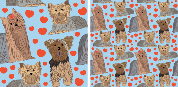 Pattern design with hearts, funny Yorkshire Terrier dogs doodles, and seamless pattern. T-shirt textile, wallpaper, wrapping, background graphic design with hearts, blue background. Valentine's day.