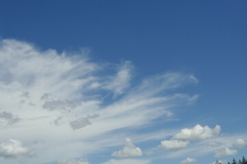 Delicate white clouds against the blue sky. Wallpaper.