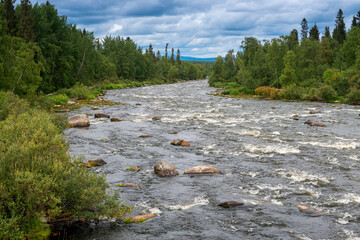 Winding bed of a mountain river in the taiga, flowing through a summer forest after rain