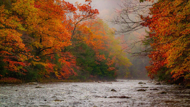 Foggy autumn river, Keystone Arch Bridges Trail, Chester, Massachusetts