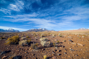 The Atacama Desert