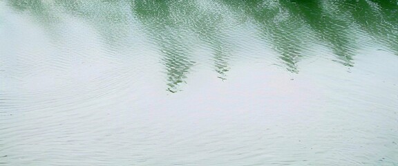 Tree leaves shadow on clear water surface
