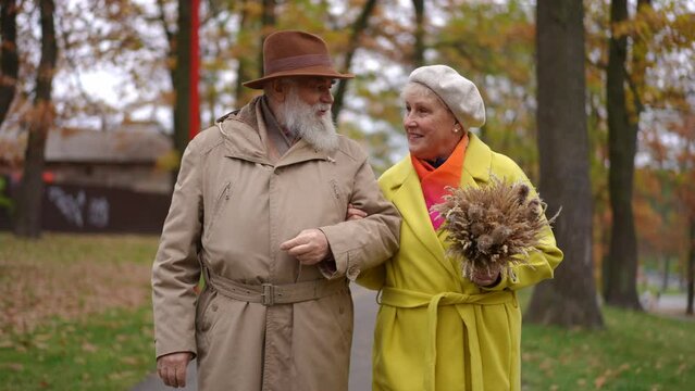 Dolly shot of smiling senior man and woman strolling in autumn park with wheat sheaf talking in slow motion. Front view medium shot portrait of loving Caucasian old couple dating outdoors