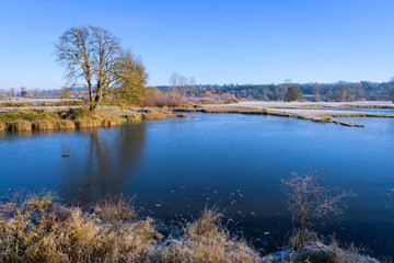 Obraz premium Morning light in fall with a frozen pond and a clear sky in the Snoqualmie Valley of Washington State
