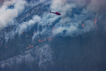 helicopter dropping water on forest fire in Alberta Canada