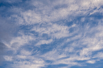 A beautiful blue autumn sky with white fluffy clouds makes for a fabulous overall view of the sky