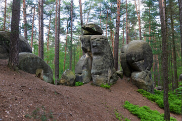 Beautiful sandstone Rocks in Czech Paradise, clear green Nature, Mala Skala, Little Rock, Czech Republic
