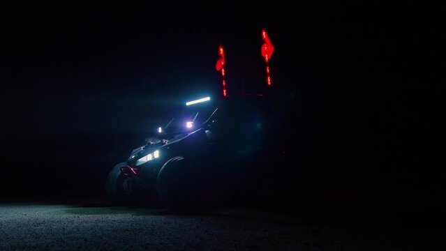 LED UTV Whip Lights 
