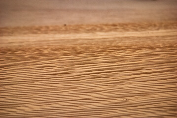 Fototapeta premium Dunas de Itaúnas (Paisagem) | Itaunas Dunes