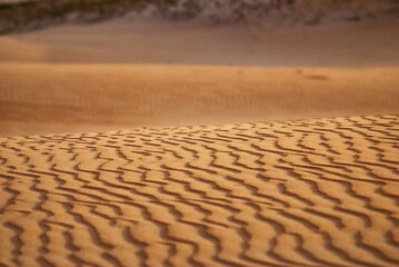 Dunas de Itaúnas (Paisagem) | Itaunas Dunes