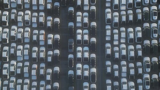 Car parking at the port. Delivery of cars by ship