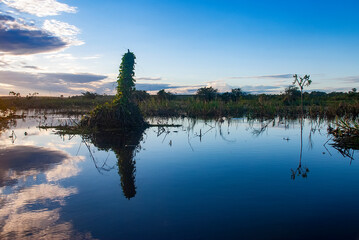 Rio Itaúnas (Paisagem) | Itaúnas river