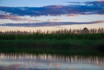 Rio Itaúnas (Paisagem) | Itaúnas river