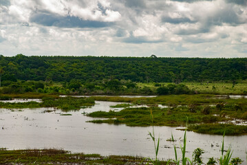 Rio Itaúnas (Paisagem) | Itaúnas river