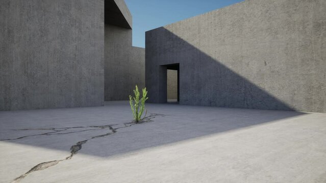 3d animation of concrete architecture and a plant that sprouts from a crack. 